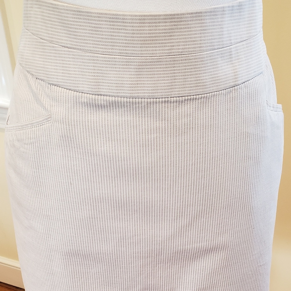 Seersucker Skirt